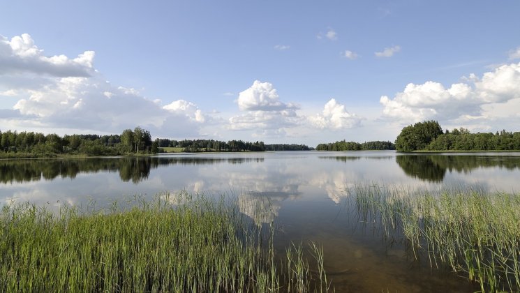 Eesti loodus